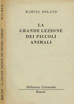 La grande lezione dei piccoli animali