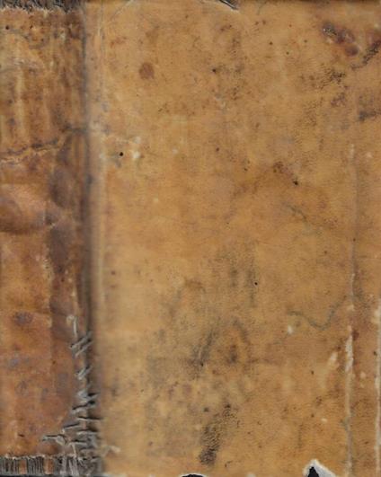 Il salterio del pellegrino - D. Luigi Tosti - copertina