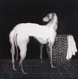 Levriero - copertina