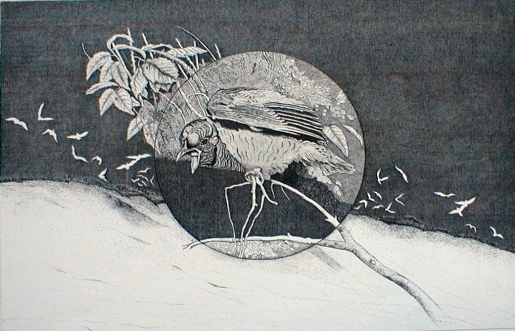 Studio Bibliografico Marini