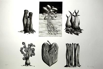 Senza titolo - copertina