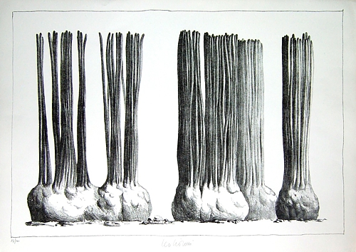 Studio Bibliografico Marini