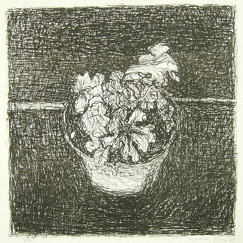 Studio Bibliografico Marini