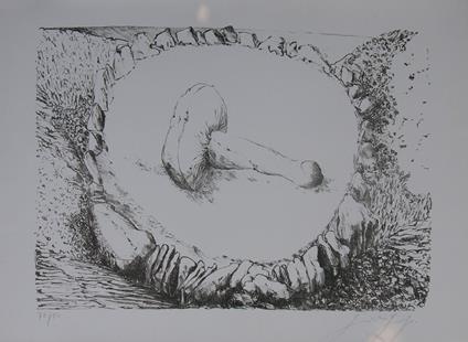 Demeter, 1975 - Günter Grass - copertina