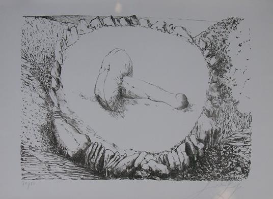 Demeter, 1975 - Günter Grass - copertina