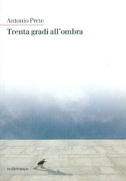 Trenta gradi all'ombra - copertina