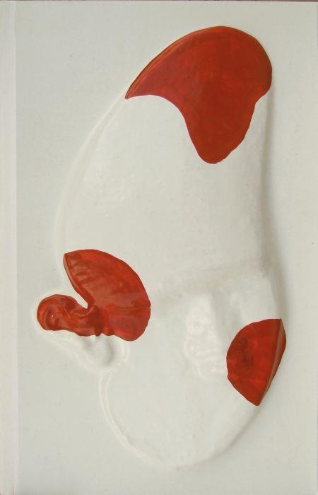 La grande scimmia - Cucchi - copertina