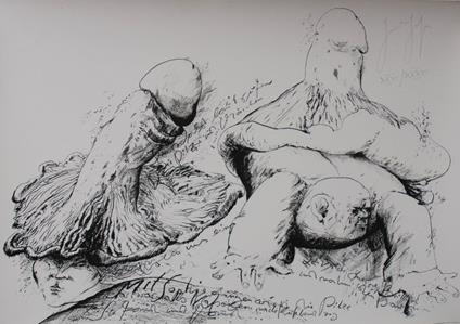 Senza titolo - Günter Grass - copertina