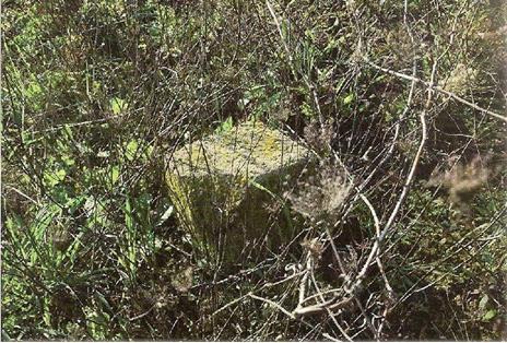 Il paesaggio di sempre - 4