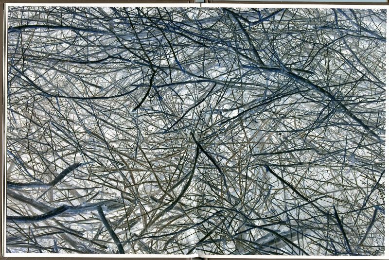 Studio Bibliografico Marini