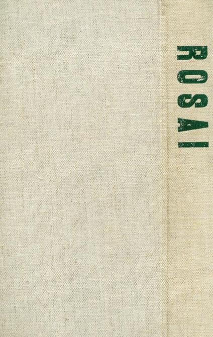Rosai - P. Carlo Santini - copertina