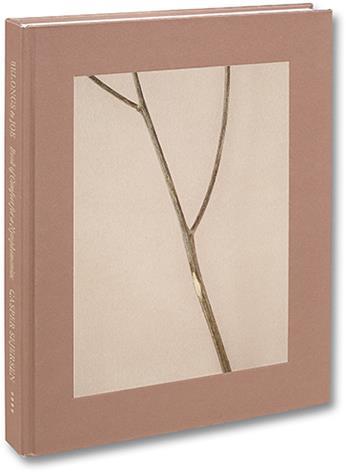 Belongs to Joe. Book of Comfort for a Nymphomaniac - Casper Sejersen - copertina