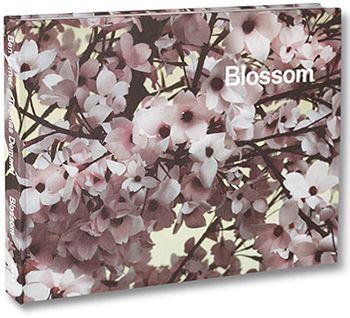 Blossom - copertina
