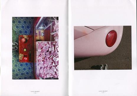 The selfeet - Lucie Beudet - copertina