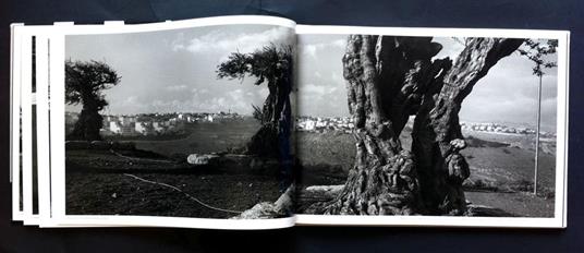 Wall. Israeli & Palestinian Landscape 2008-2012 - Josef Koudelka - 5