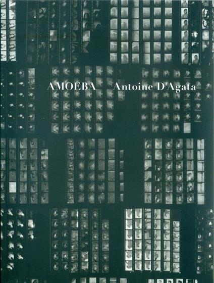 Amoeba - copertina