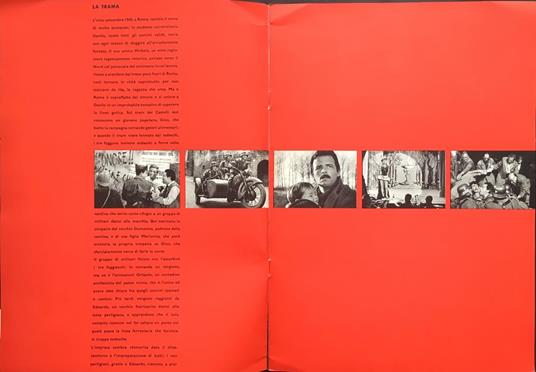 Un giorno da leoni - 4