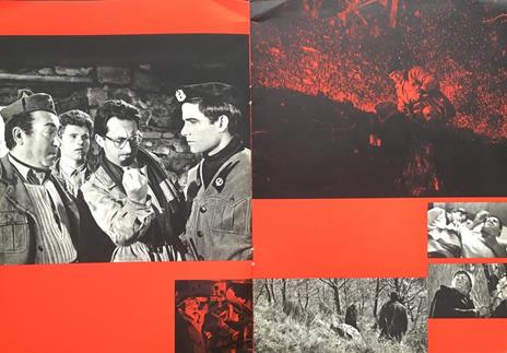 Un giorno da leoni - 5