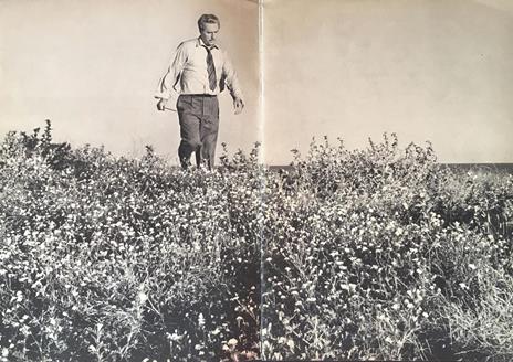 L' uomo di paglia - 2