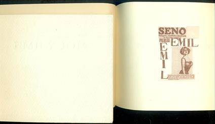 Emily Joe - copertina