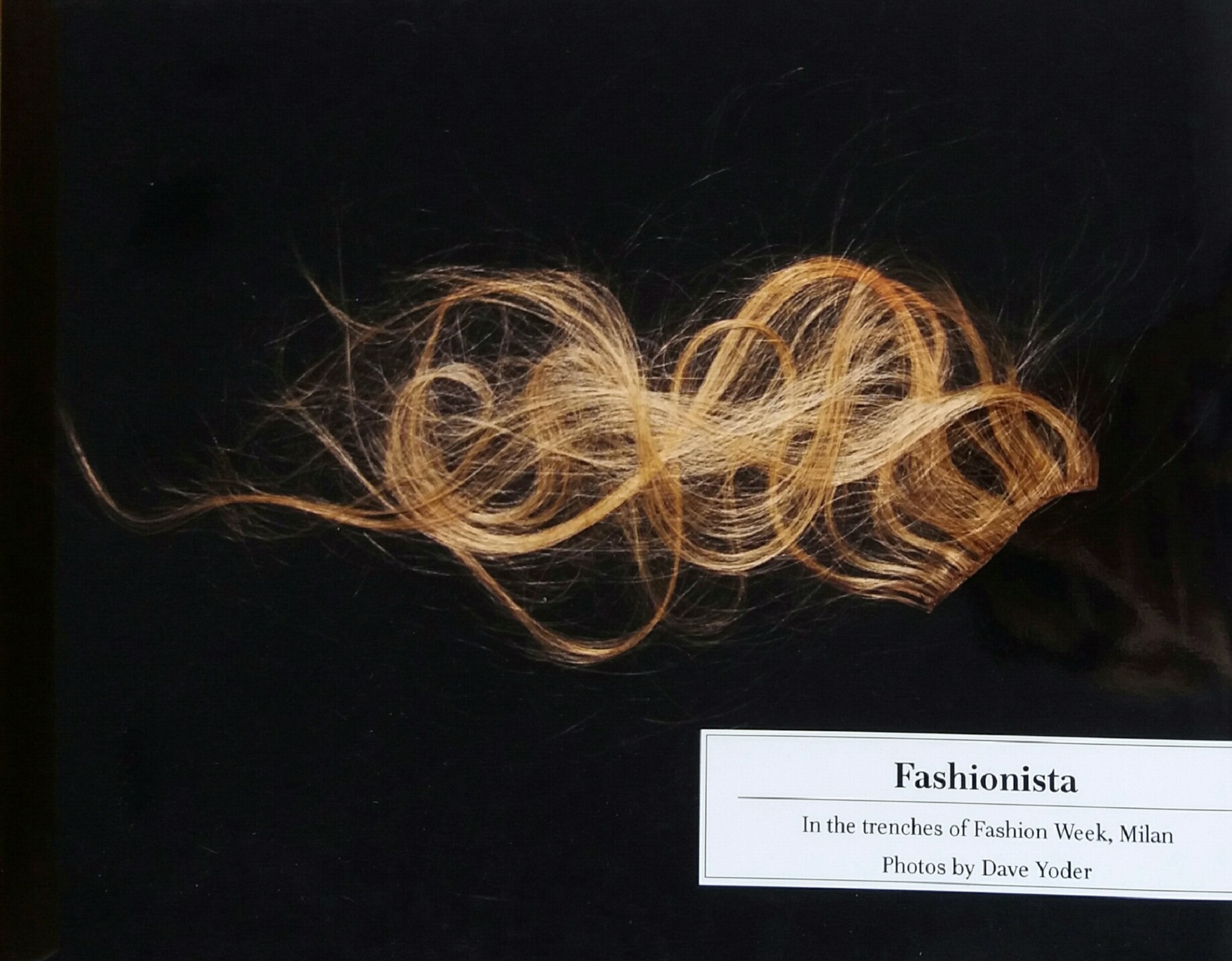 Studio Bibliografico Marini