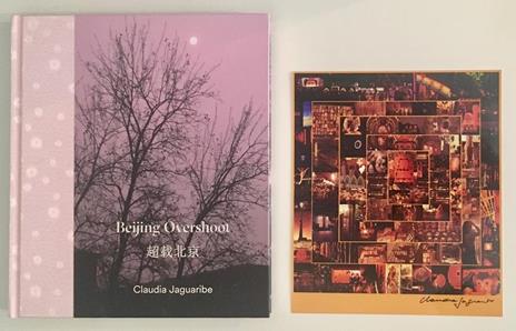 Bejiing Overshoot - Claudia Jaguaribe - copertina