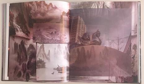 Bejiing Overshoot - Claudia Jaguaribe - 4