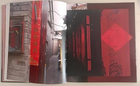 Bejiing Overshoot - Claudia Jaguaribe - 9