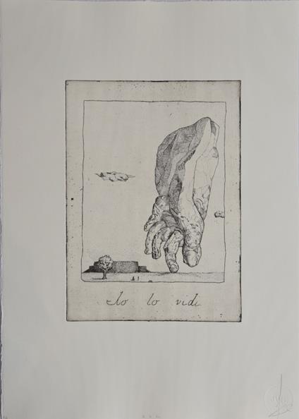 Io lo vidi - copertina