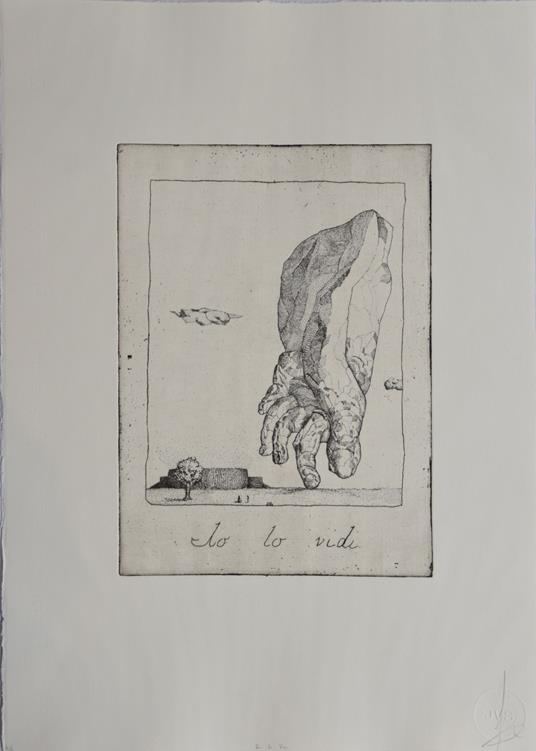 Io lo vidi - copertina