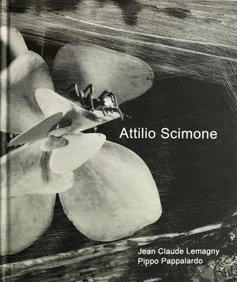 Attilio Scimone. Materia, luce, irriducibilità - Attilio Scimone - copertina