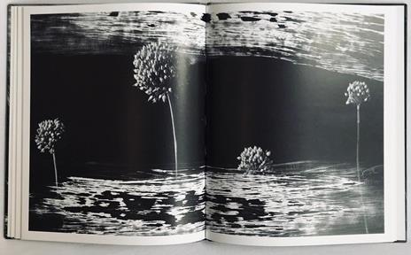 Attilio Scimone. Materia, luce, irriducibilità - Attilio Scimone - 5