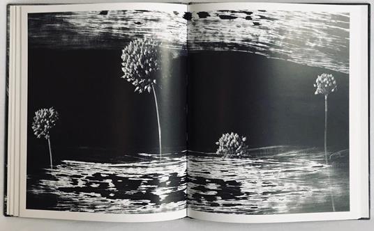 Attilio Scimone. Materia, luce, irriducibilità - Attilio Scimone - 5