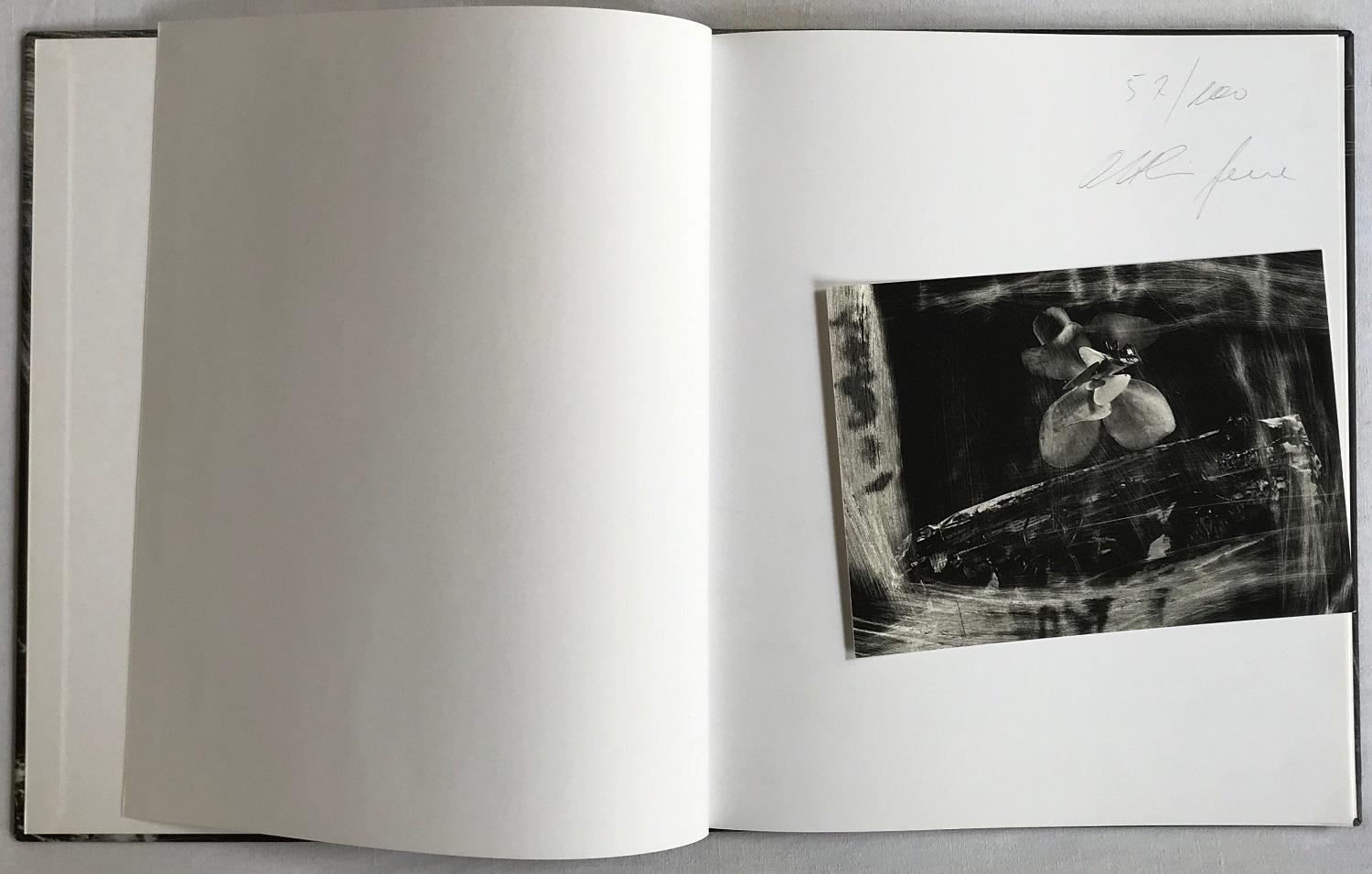 Studio Bibliografico Marini