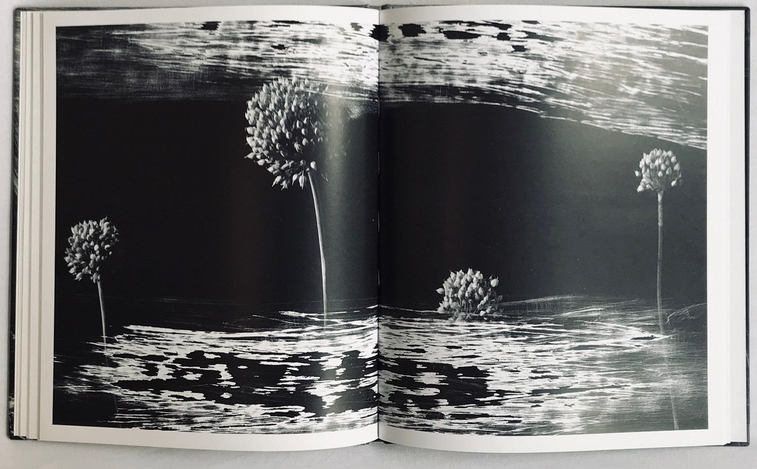 Attilio Scimone. Materia, luce, irriducibilità