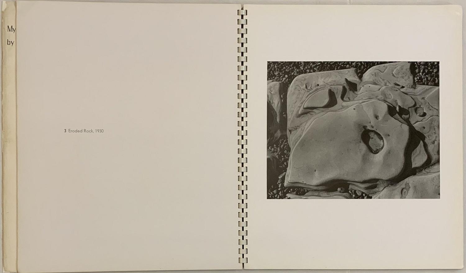 My Camera on Point Lobos