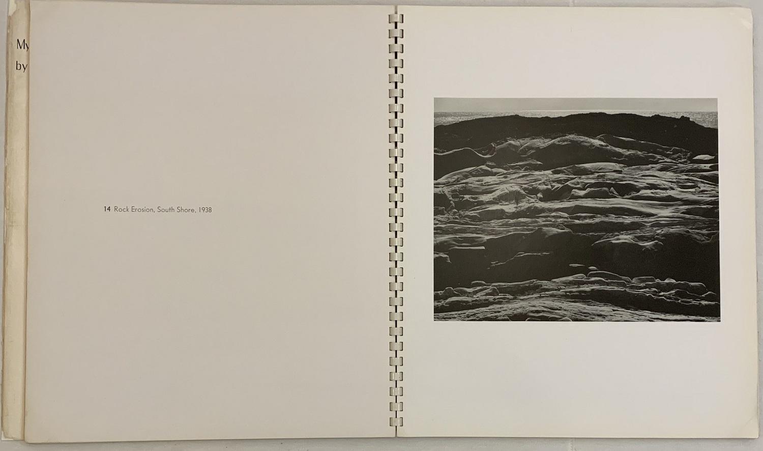 My Camera on Point Lobos