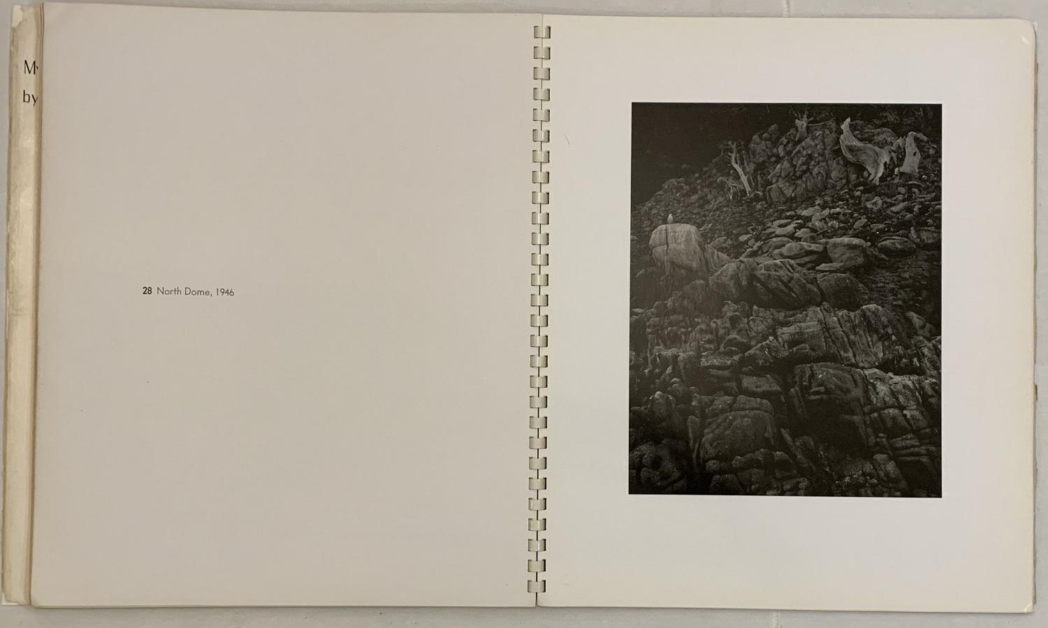 My Camera on Point Lobos