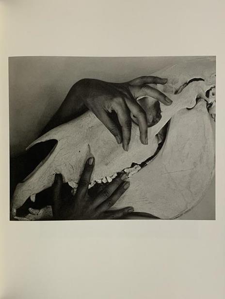 Georgia òKeeffe. A Portrait - Alfred Stieglitz - 6