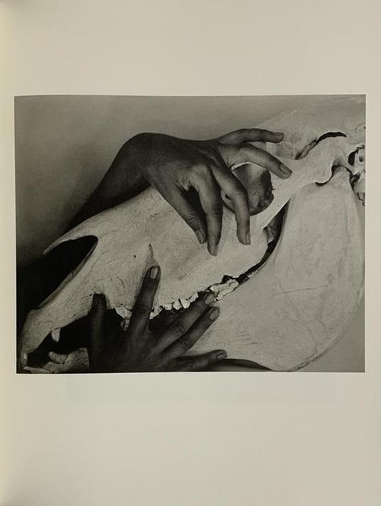 Georgia òKeeffe. A Portrait - Alfred Stieglitz - 6
