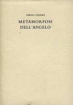 Metamorfosi dell'angelo