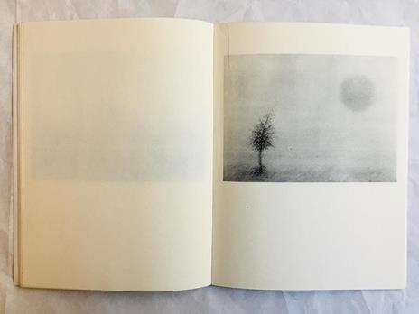 Cecco Ceccherini. La Luna - 3