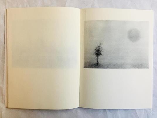 Cecco Ceccherini. La Luna - 3