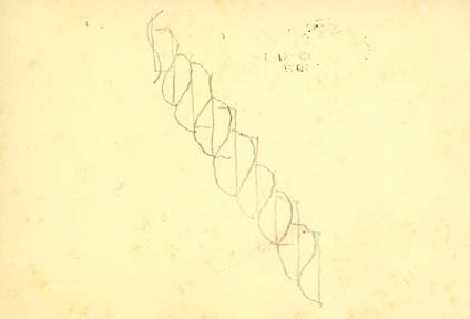 Richard Tuttle - Richard Tuttle - copertina