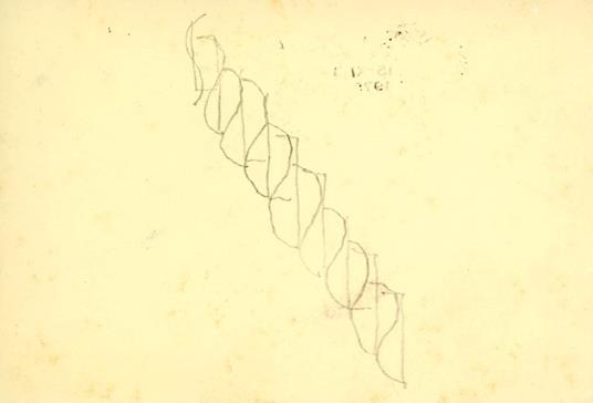 Richard Tuttle - Richard Tuttle - copertina