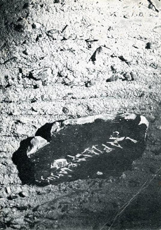 Bruno Ceccobelli - Bruno Ceccobelli - copertina