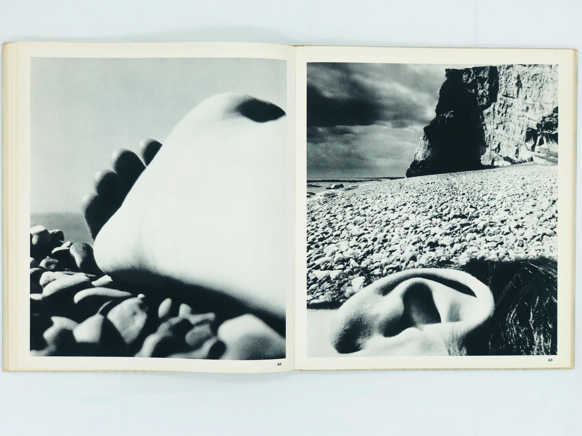 Perspective of Nudes