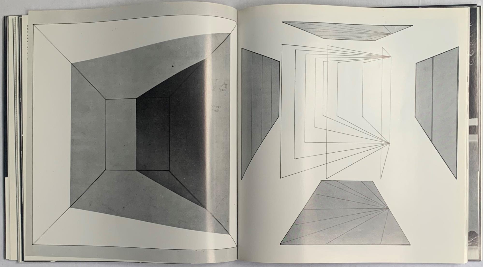 Vitalità del negativo nell'arte italiana 1960/70