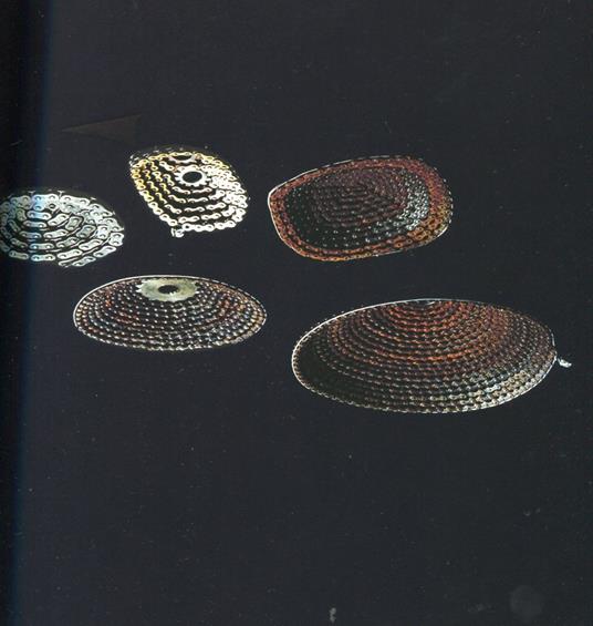 Stefano Canto. Materia - Stefano Canuto - copertina