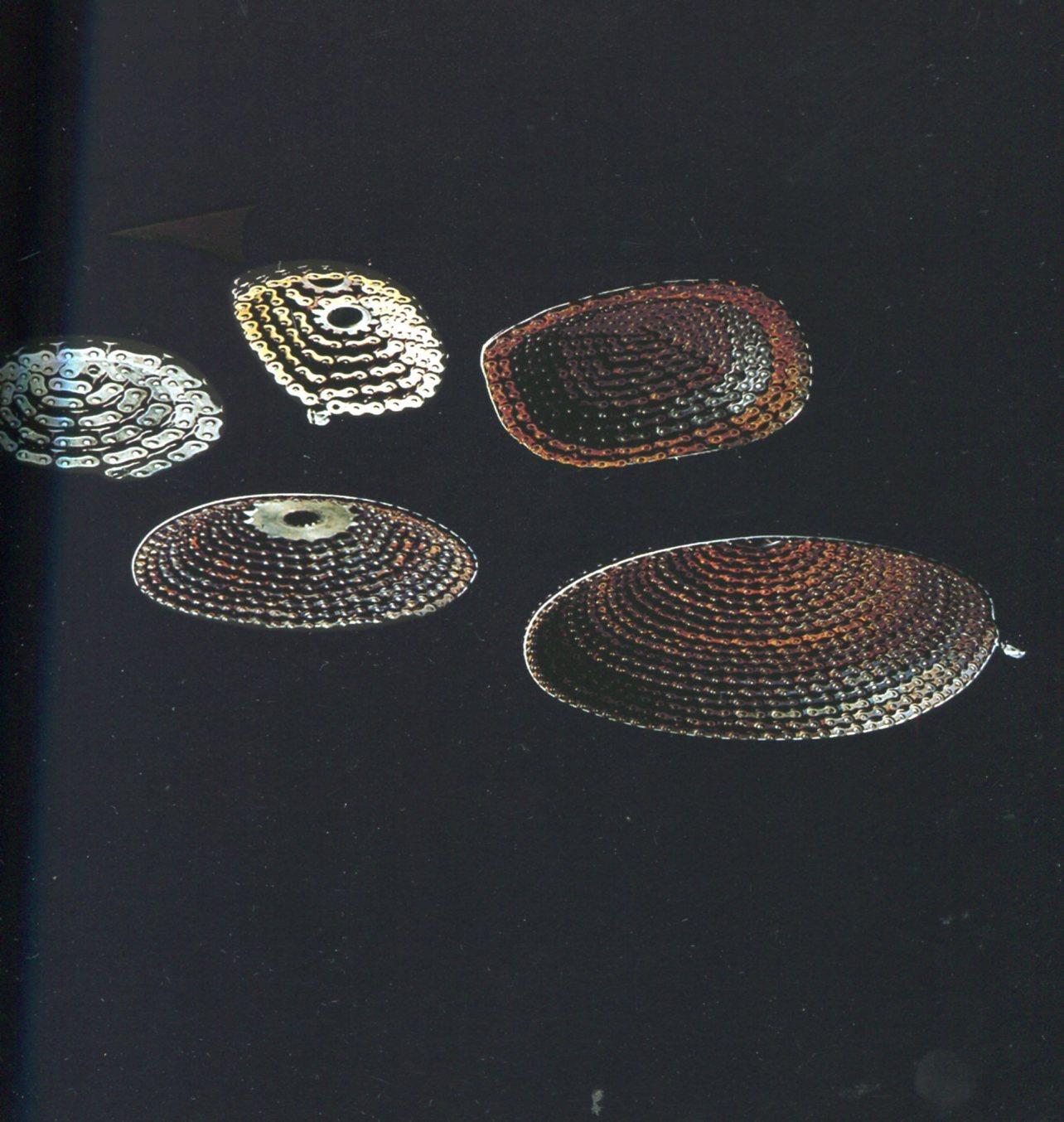 Studio Bibliografico Marini